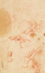 聖十字架とシュラウドを運ぶ天使たち。